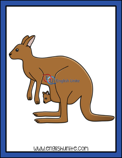 clip art - kangaroo