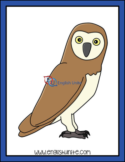 clip art - owl