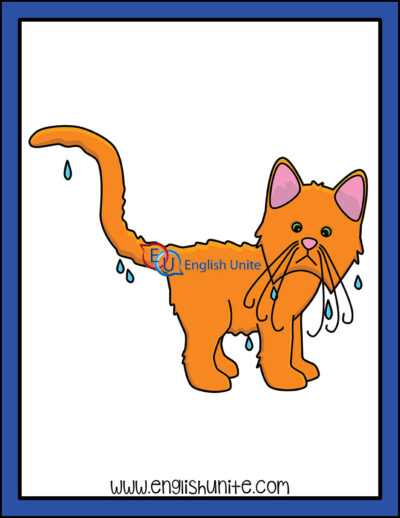clip art - wet cat