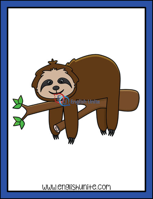 clip art - sloth
