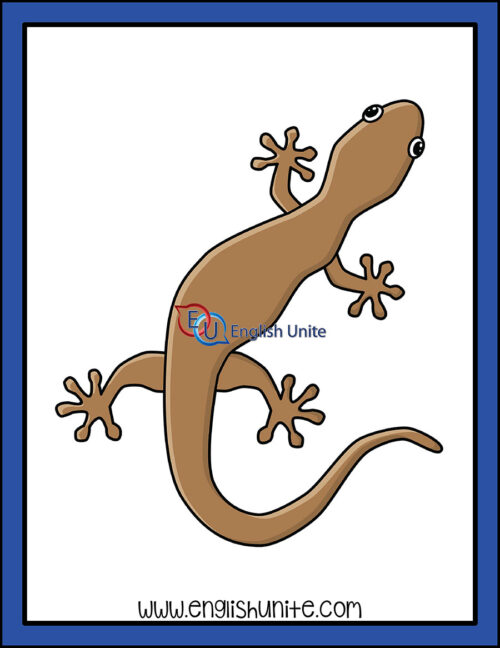 clip art - gecko