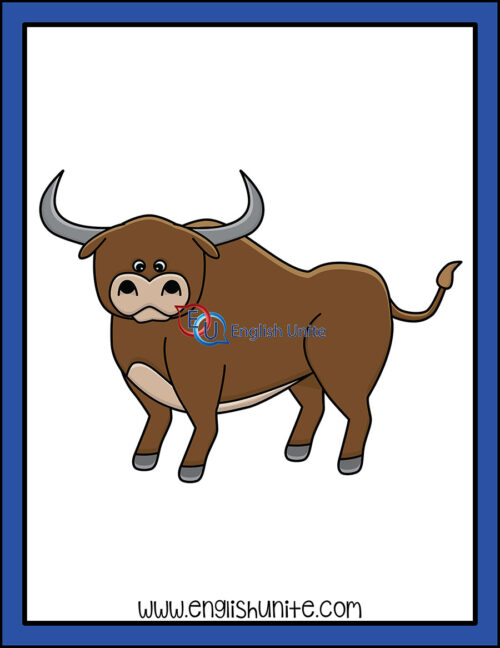 clip art - bull