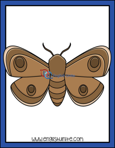 clip art - moth