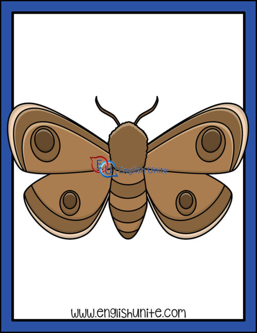 clip art - moth