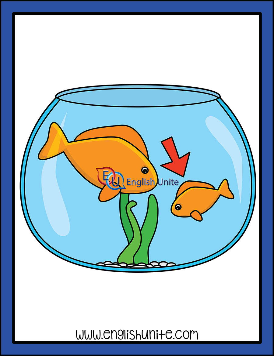 English Unite - Sight Words - Third Grade - Small (Fish)