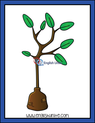 clip art - tree to plant