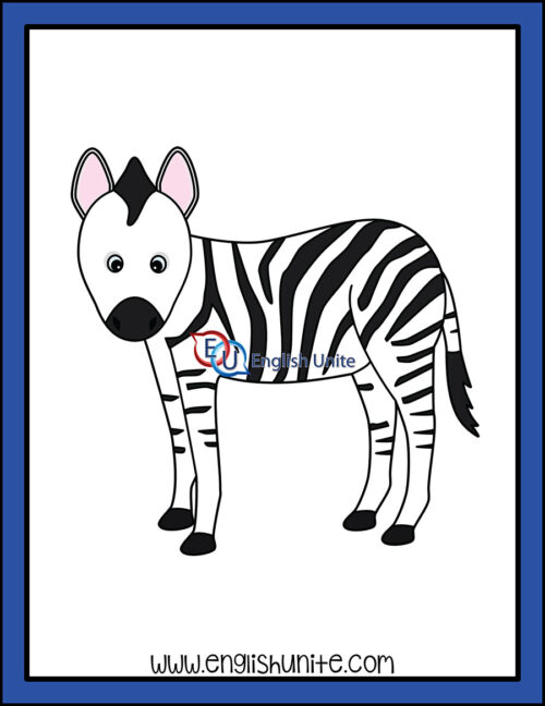 clip art - zebra