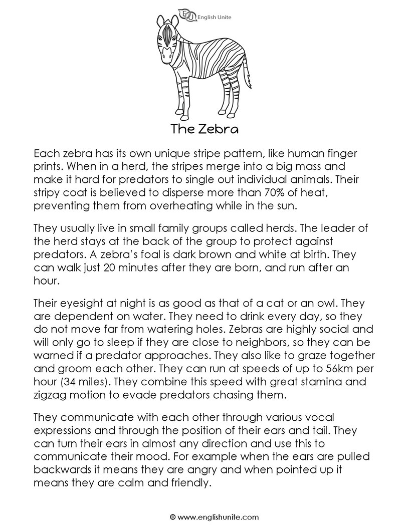 English Unite - Short Story - The Zebra
