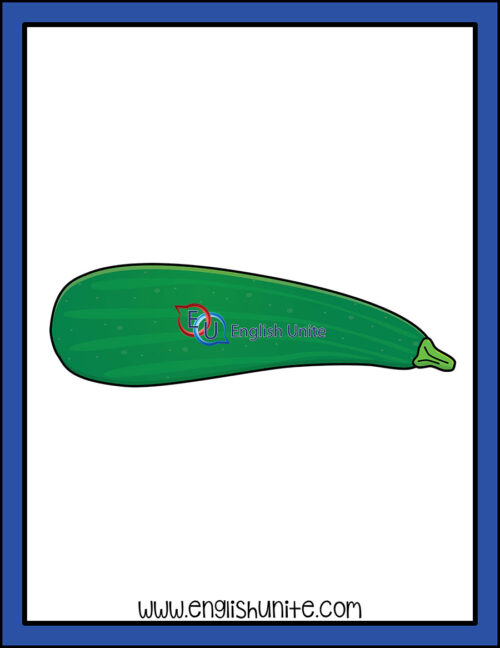 clip art - zucchini