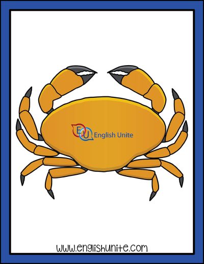 clip art - crab