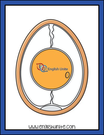 clip art - yolk