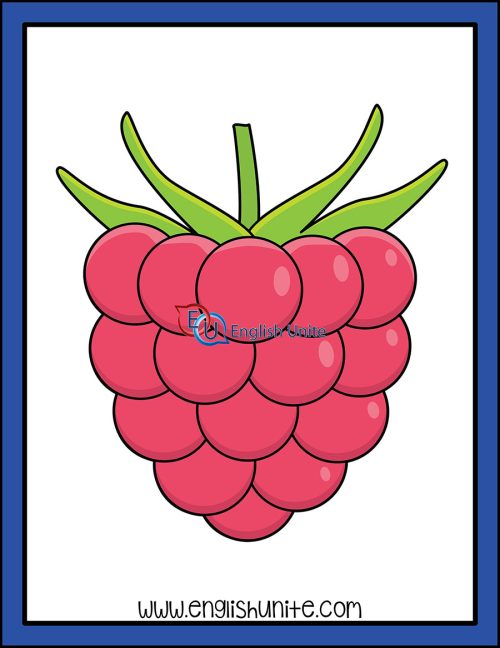 clip art - raspberry