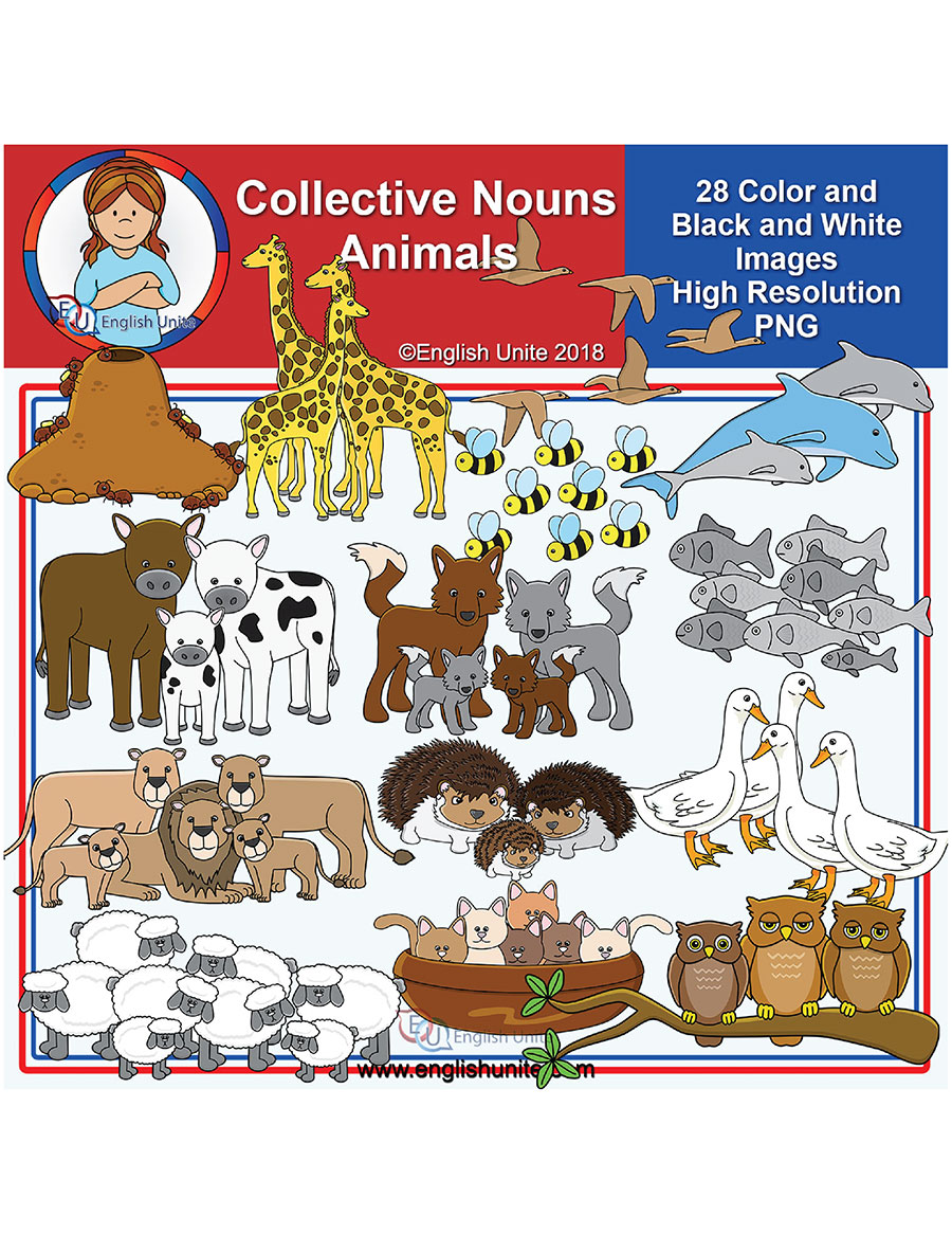 English Unite - Clip Art - Collective Nouns - Animals