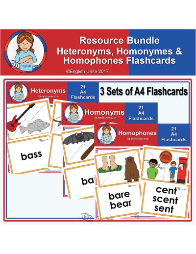 resource bundle - homographs a4 flashcards pack