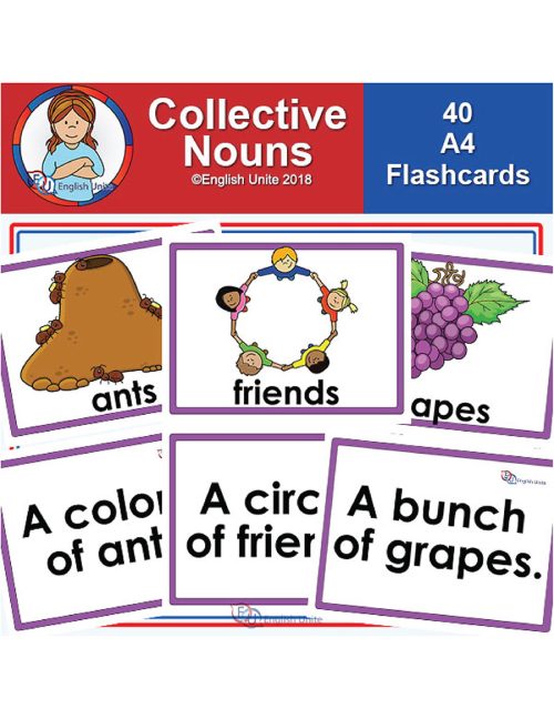 flashcards - A4 collective nouns