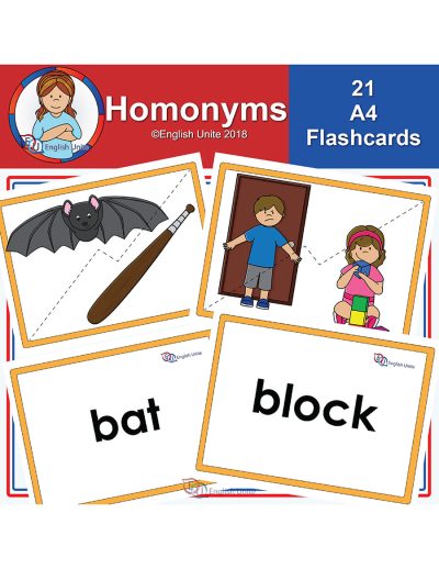 flashcards - a4 homonyms
