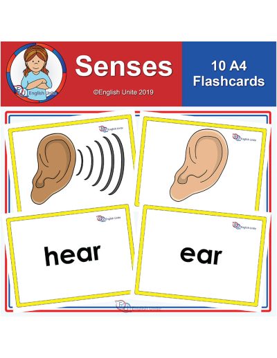 flashcards - a4 senses
