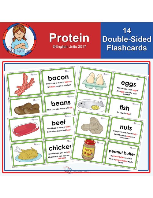 flashcards - protein