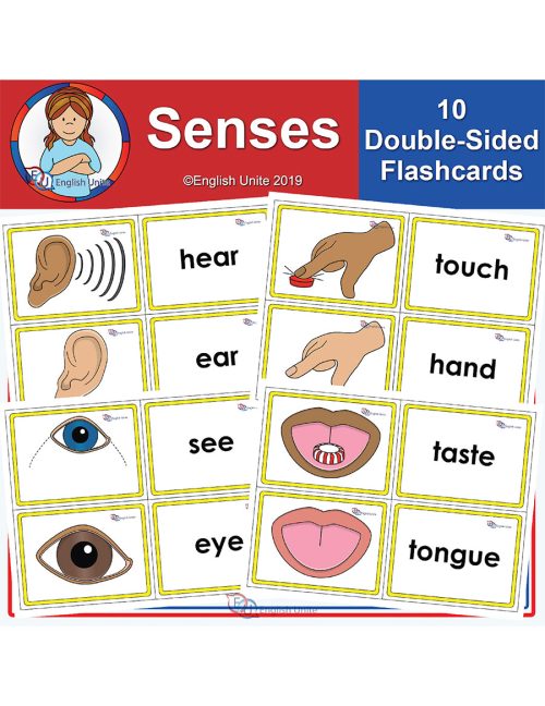 flashcards - senses