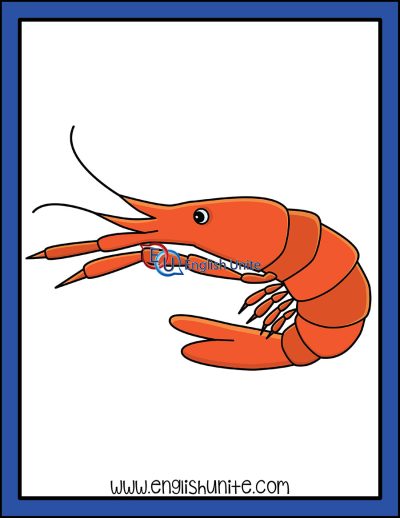 clip art - shrimp