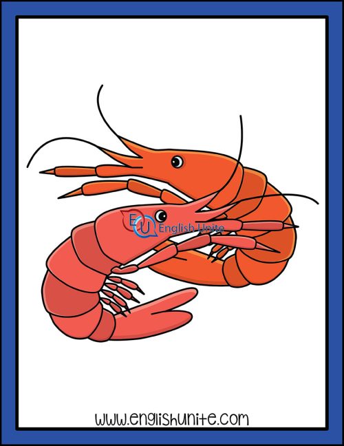 clip art - shrimp 2