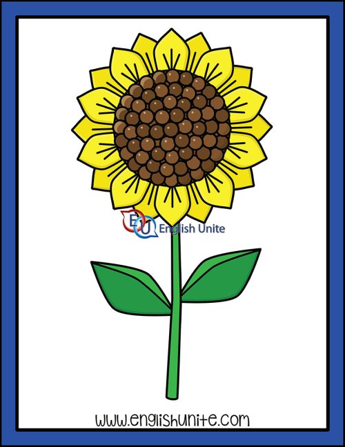 clip art - sunflower
