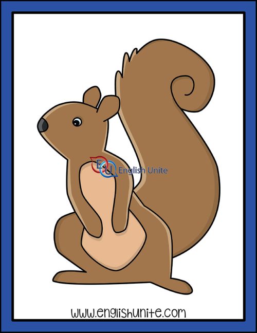 clip art - squirrel