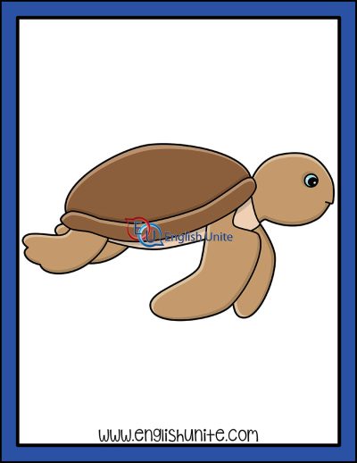 clip art -turtle