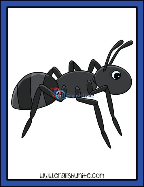 clip art - ant