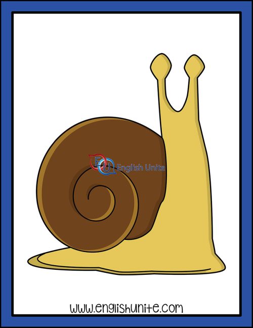 clip art - snail