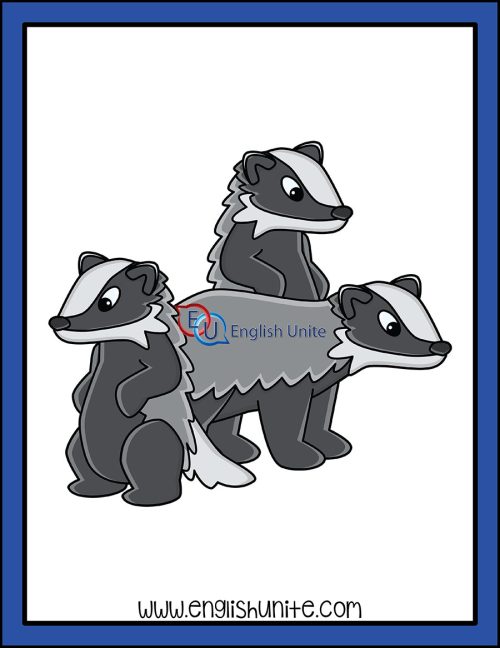 clip art - a colony of badgers