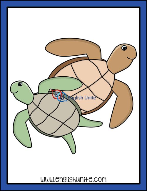 clip art - a bale of turtles