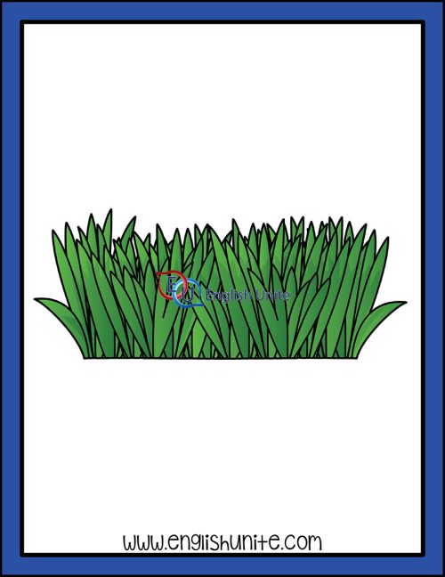 clip art - bear grass
