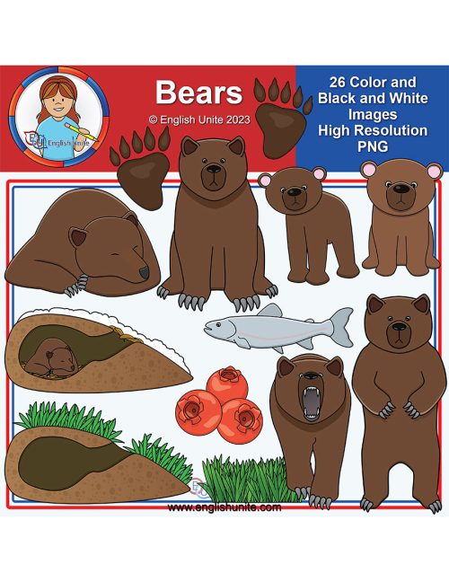 clip art - bears animal pack
