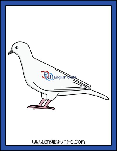 clip art - white dove