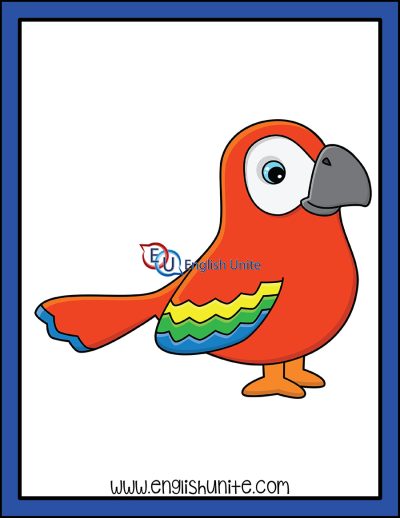 clip art - parrot