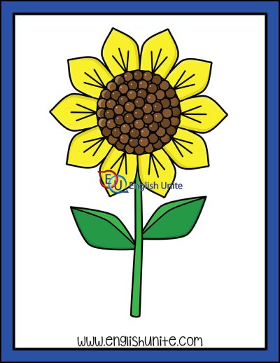 clip art - counting sunflower petals ten
