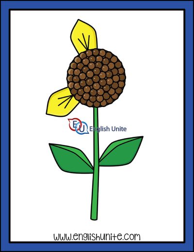 clip art - counting sunflower petals two