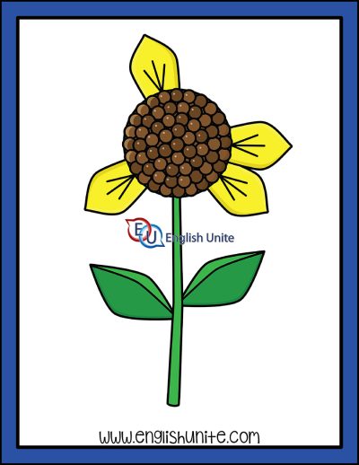 clip art - counting sunflower petals four