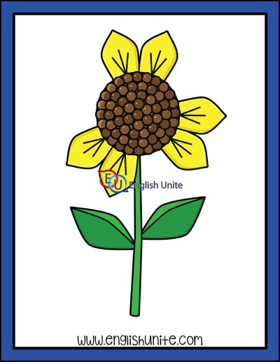 clip art - counting sunflower petals six