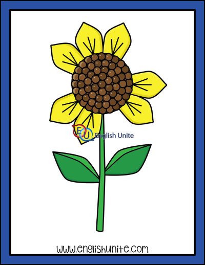 clip art - counting sunflower petals seven