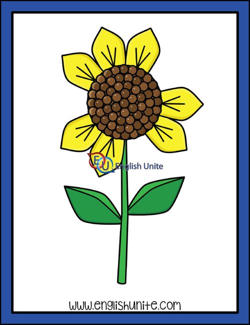 clip art - counting sunflower petals seven