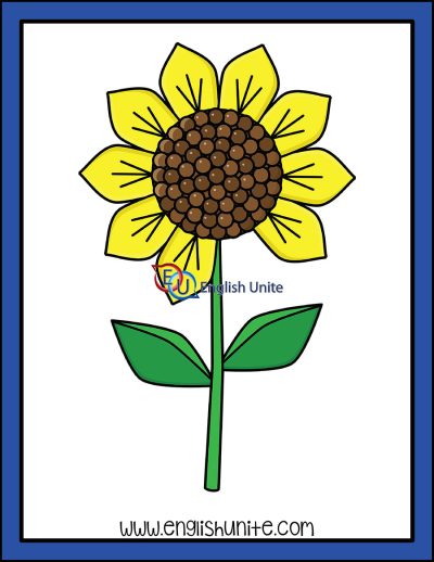 clip art - counting sunflower petals nine