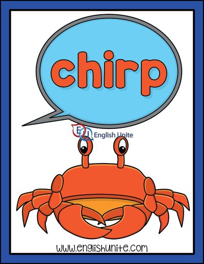 sea animal - crab