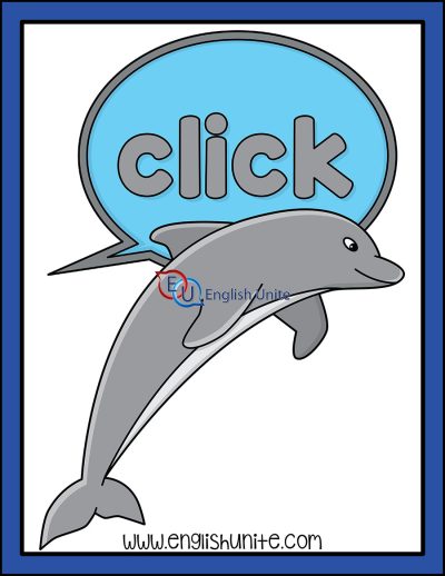 sea animal - dolphin