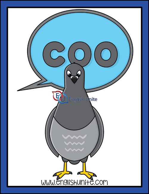 clip art - birds - pigeon