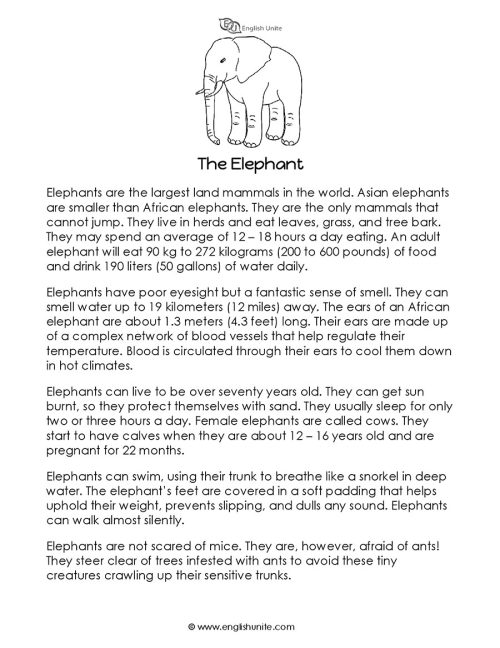 Short story - The elephant 1