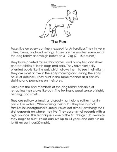 Short story - The fox 1