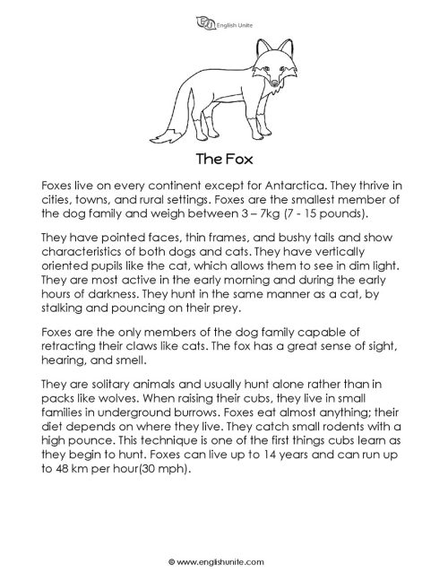 Short story - The fox 1