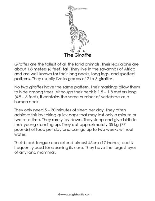 Short story - The giraffe 1